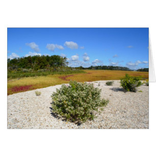Beach and Marsh Notecard
