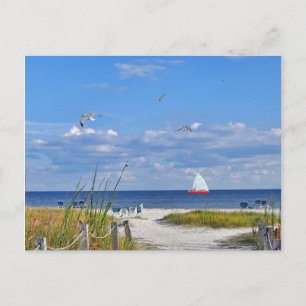 Beach and Ocean View Postcard