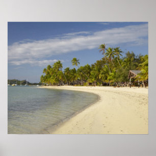 Beach and palm trees, Plantation Island Resort 2 Poster