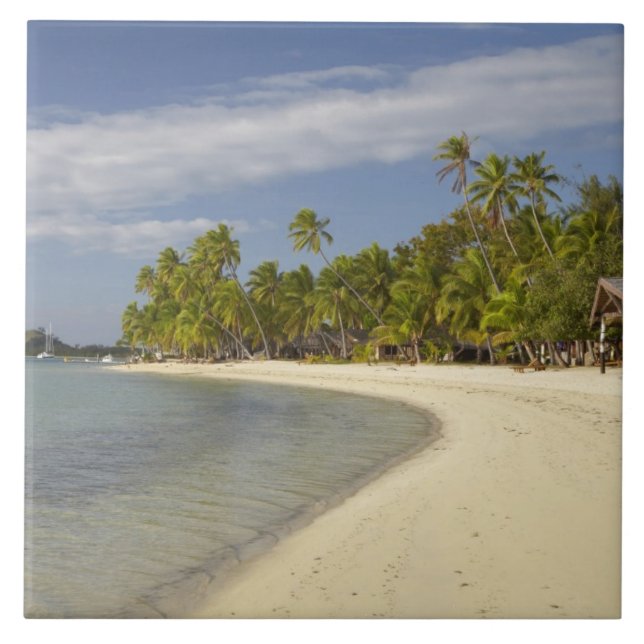 Beach and palm trees, Plantation Island Resort Tile (Front)