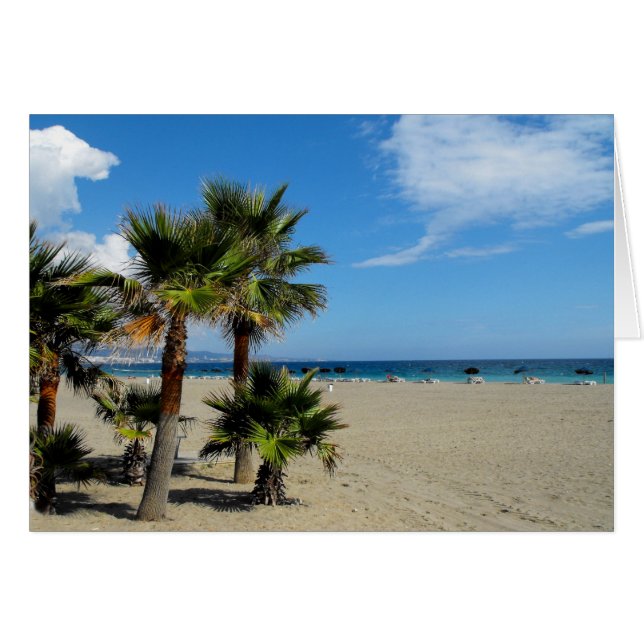 Beach and palms at Puerto Banus (Front Horizontal)