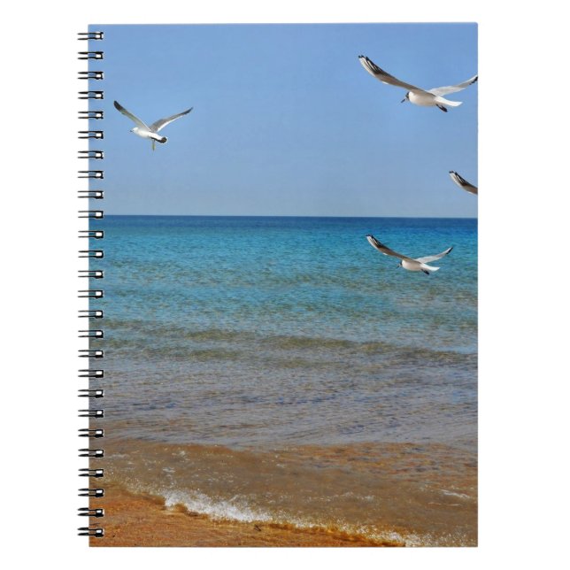 Beach and Seagulls Notebook (Front)