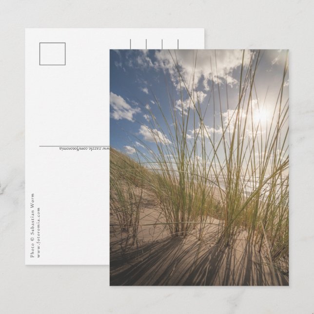 Beach and Sun Nature Photo Postcard (Front/Back)