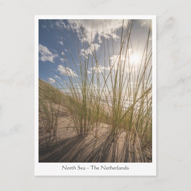 Beach and Sun Nature Photo Postcard (Front)