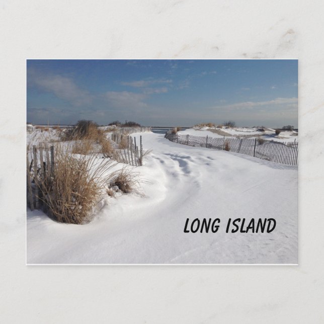 Beach at 2 Degrees Postcard (Front)