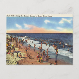 Beach at Cape Cod Postcard