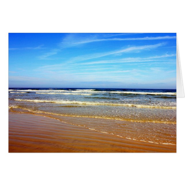 Beach at Daytona Beach, Florida (Front Horizontal)