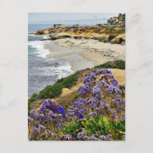 Beach At La Jolla Cove Postcard