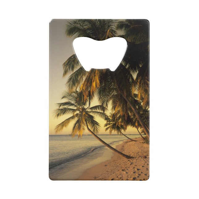 Beach at sunset, Trinidad (Front)