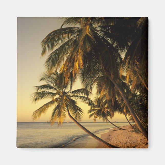 Beach at sunset, Trinidad Magnet (Front)