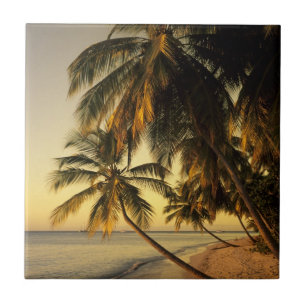 Beach at sunset, Trinidad Tile