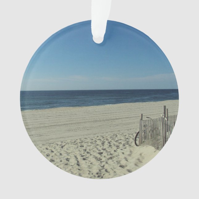 Beach Beauty Ornament (Front)