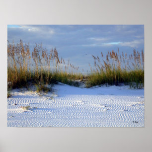 Beach Beauty, S Cyr Poster