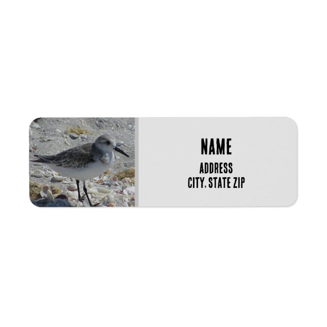 Beach Bird Nature Photo Grey Coastal Animal (Front)