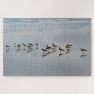 Beach Birds Coastal Nature Photography Hard Jigsaw Puzzle