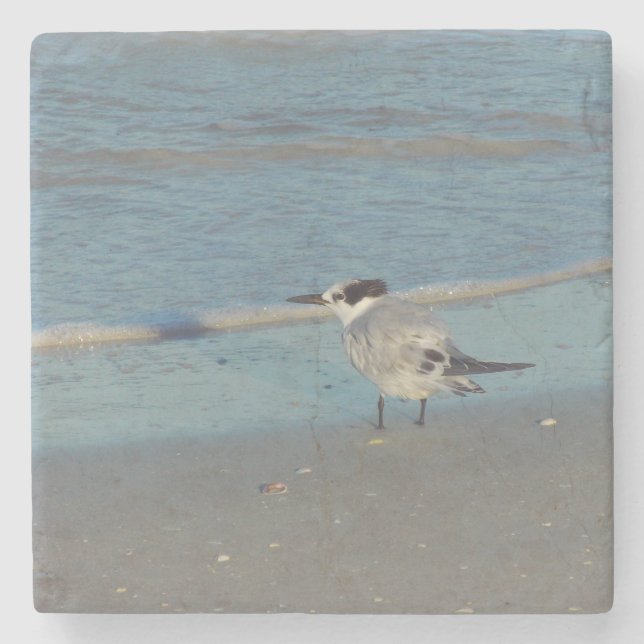 Beach Birds Coaster (Front)