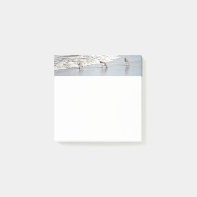 Beach Birds in the Surf 3x3 Notes (Front)