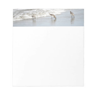 Beach Birds in the Surf Notes