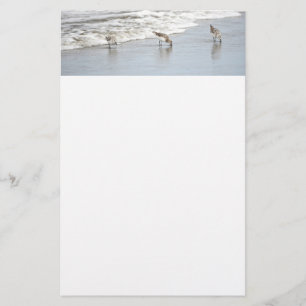 Beach Birds in the Surf Notes Stationery