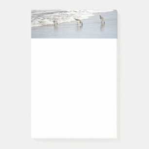 Beach Birds in the Surf Post-it Notes