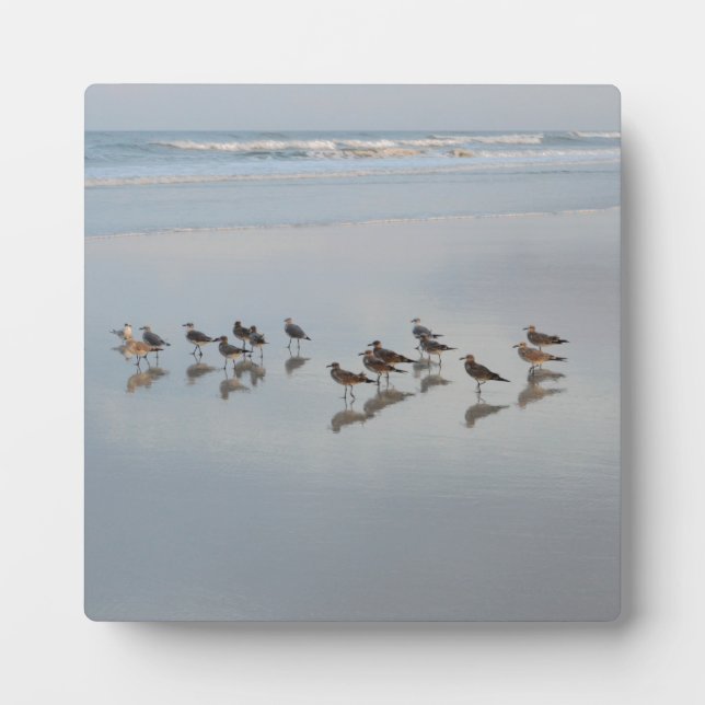 Beach Birds Ocean Waves Nature Wildlife Shorebirds Plaque (Front)