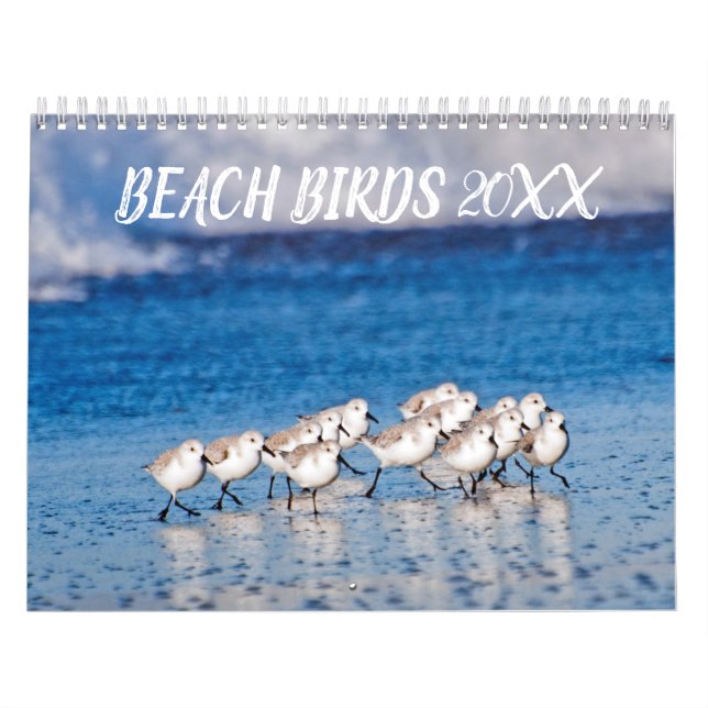 Beach Birds Photography Calendar (Cover)