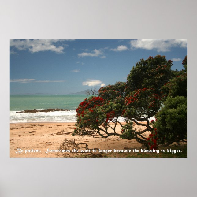 Beach Bliss - Pohutukawa Tree - Be Patient Poster (Front)