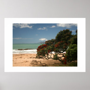 Beach Bliss - Pohutukawa Tree Poster