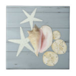 Beach Blue Cottage Starfish Sanddollar Conch Shell Tile<br><div class="desc">Hand painted oil pastel Conch Shell, Starfish and watercolor painted sun bleached sand dollar seashells with elegant, painterly detail were created by internationally licensed artist and designer, Audrey Jeanne Roberts. Simple, relaxed and rustic beach cottage design is layered over a dusty slate blue painted and weathered wood background for a...</div>