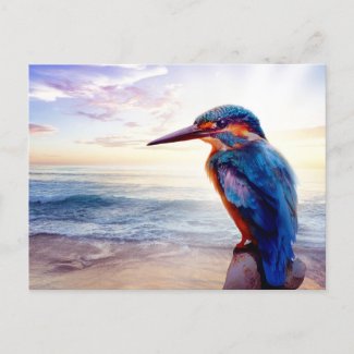 Beach Blue Hummingbird Exotic Sunset Beach
