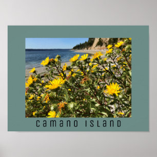 Beach Camano Island Washington Photograph Poster