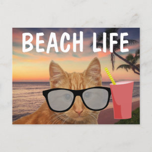 BEACH CAT GINGER SUNGLASSES POSTCARD