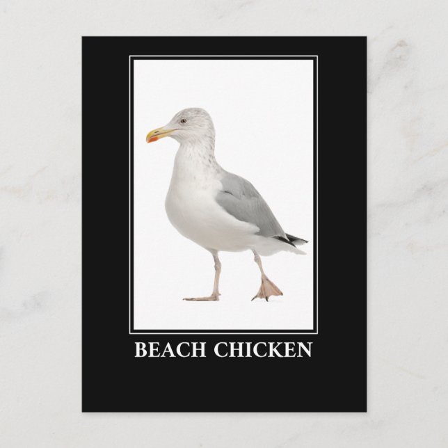 Beach Chicken – Seagull Gull Humour Postcard (Front)
