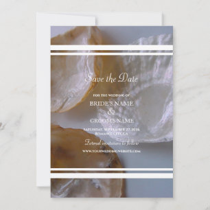 Beach Clams Wedding Save The Date