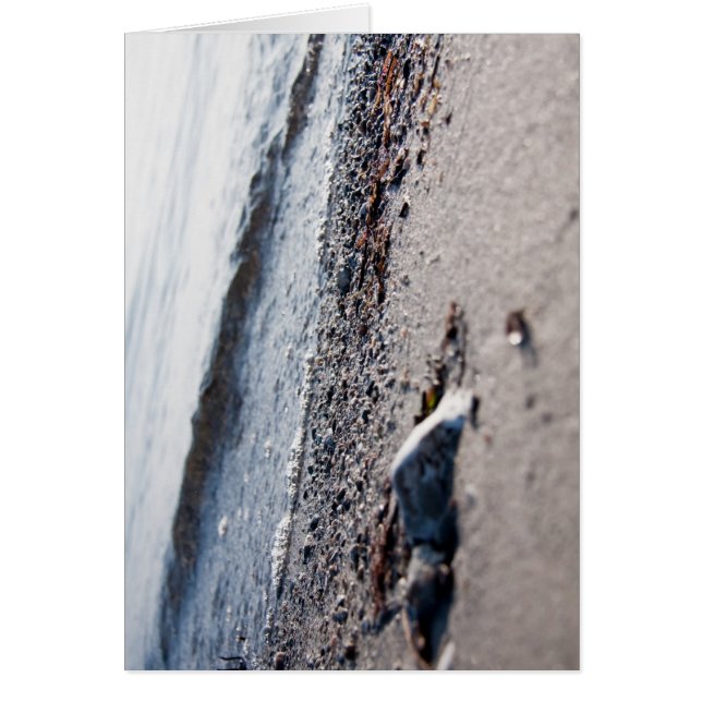 Beach close up (Front)