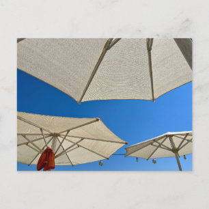 Beach Club Parasols Postcard