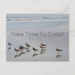 Beach Coast Quote Birds Photography Typography Postcard