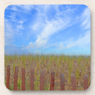 Beach Coaster