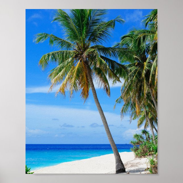 Beach Coconut Tree Poster (Front)