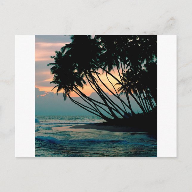 Beach Colombo Sri Lanka Postcard (Front)