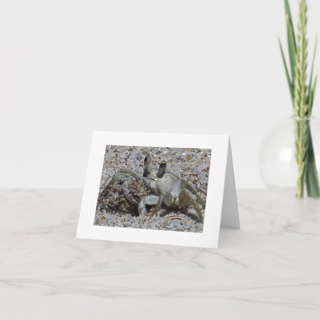 Beach Crab Photo Blank Note Card (Front)