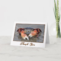 Beach Crab Photo Thank You Card
