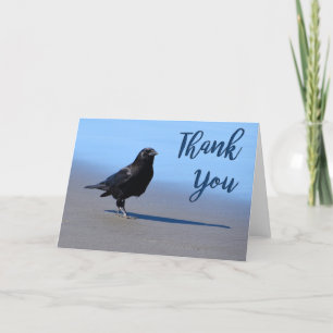Beach Crow Photo Thank You Card