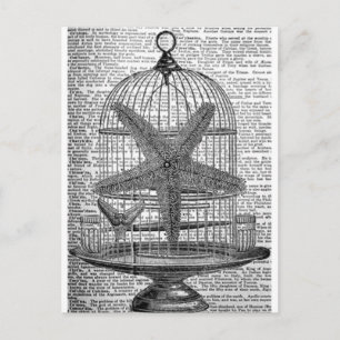 beach dictionary print steampunk Birdcage Starfish Postcard