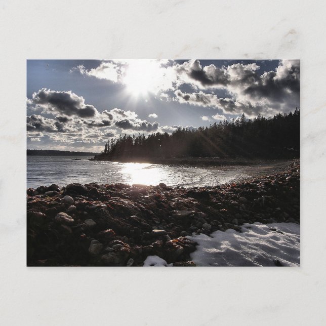 Beach Drama Postcard (Front)