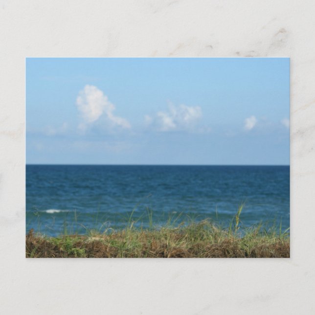 Beach dune with blue water and sky, Florida Postcard (Front)