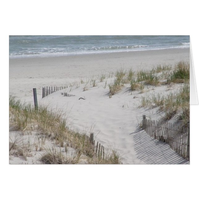 Beach Dunes (Front Horizontal)