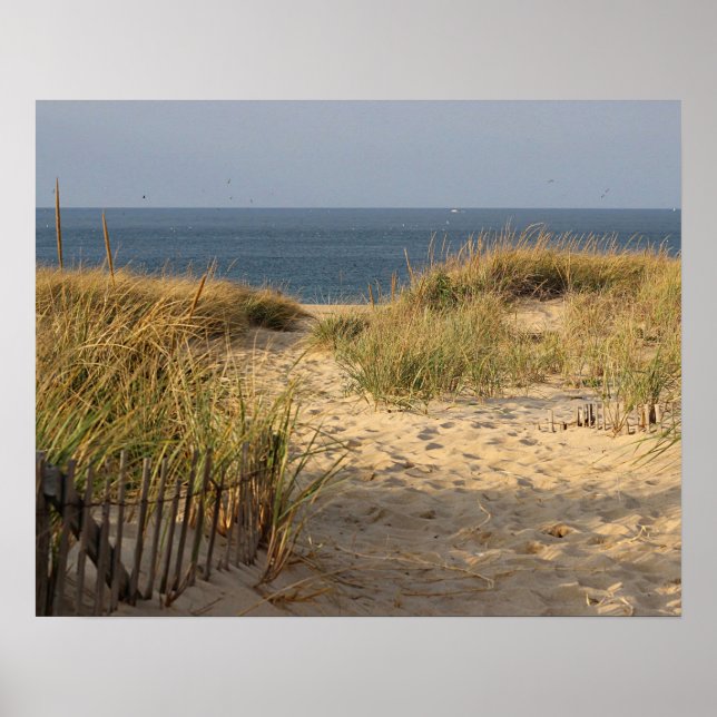 Beach fence in the sand dunes poster (Front)