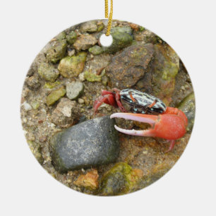 Beach Fiddler crab Ceramic Tree Decoration