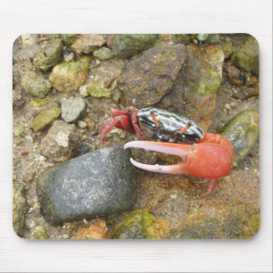 Beach Fiddler crab Mouse Mat